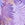 JOLYN Women's Jackson 4 Night Palm One Piece Swimsuit