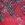 Hurley Supersuede 5" Beachrider Printed Boardshort