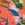 JOLYN Women's Midl Retreat Bikini Bottom