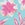 Snapper Rock Women's Tropical Glow Sustainable Bikini Bottom