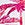 Tommy Bahama Women's Island Cays Point Reversible Bikini Bottom