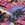 Hurley Women's Cherokee Zip Wallet