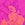 Body Glove Women's Puako Solo Bikini Top (D-F Cup)