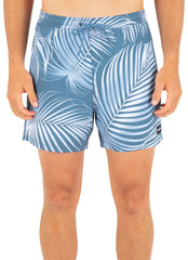 Hurley Men's 17" Cannonball Lined Volley Swim Trunks