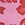 JOLYN Women's Hibiscus Haze Andy Printed Bikini Bottom