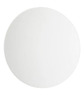 Competitor 15” Plexiglass Lens
