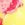 Body Glove Roses Are Yellow Solo D+ Cup Top