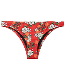 Speedo X Caeleb Dressel Women's Classic Swimsuit Bottom