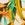 Body Glove Swimwear Waikiki Fly High Bikini Bottom