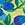 Sporti Blueberry Breeze Brief Swimsuit (26-40)