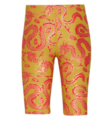 Sporti Lunar Dragon Foil Jammer Swimsuit Youth (22-28)