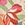 Hurley Women's Aquas Floral Pop 2.5" Board Shorts