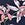 Tommy Bahama Women's Summer Floral Reversible Hipster Bikini Bottom