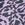 Speedo Women's Printed Flip Back One Piece Swimsuit