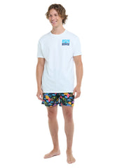 Eidon Men's 17" Fish Tank Volley Swim Trunks