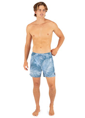 Hurley Men's 17" Cannonball Lined Volley Swim Trunks