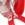Sporti World Series Antifog S2 Goggle