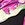 Tommy Bahama Women's Coastal Gardens Twist Front Bandeau Bikini Top