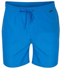 Hurley Men's One & Only 17'' Volley Short