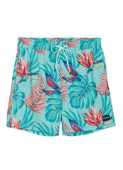 Hurley Men's 17" Cannonball Volley Swim Trunks
