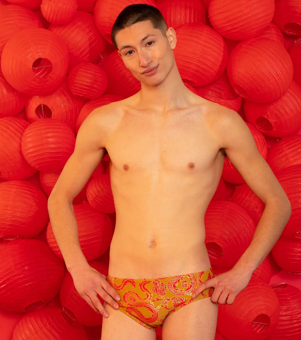 Sporti Lunar Dragon Foil Brief Swimsuit