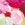 Jantzen Bohemian Blooms Side Tab Hipster Bikini Bottom