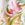 Tommy Bahama Women's Island Cays  Flora Pareo