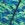 TYR Boys' Agran Wave Jammer Swimsuit