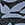 Speedo Men's Beachstar Print Square Leg Swimsuit
