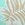 Body Glove Women's Wahine Olivia Bikini Top