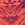 TYR Girls' Conquest Della Boyshort (Big Kid)