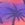 Sporti Sunset Palm Square Leg Swimsuit Youth (22-28)