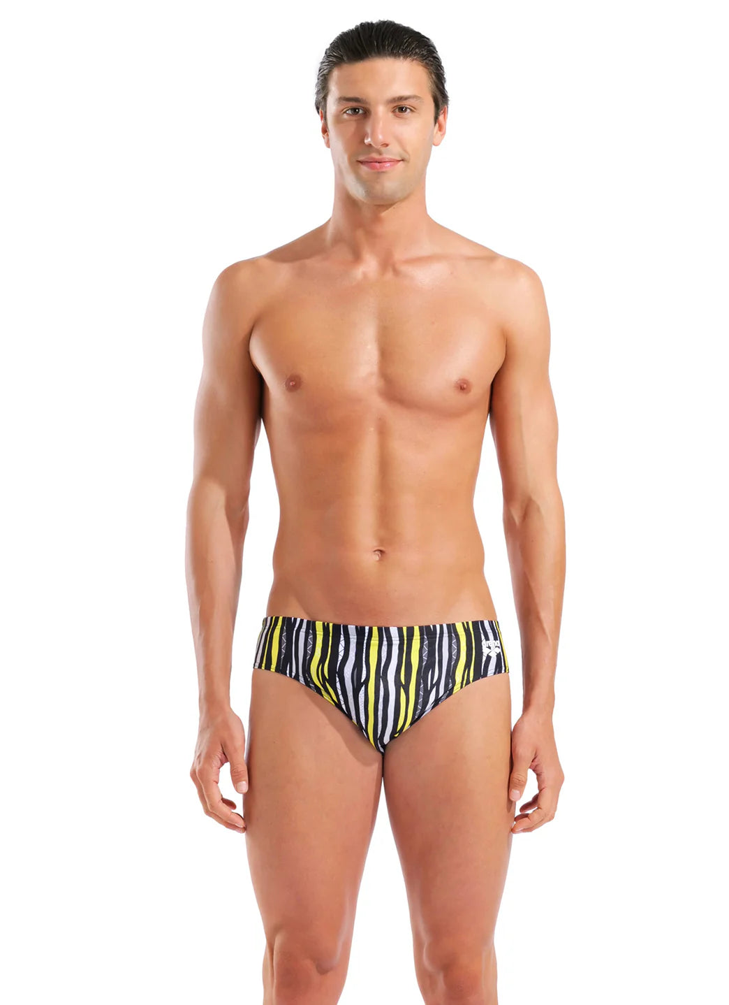 Arena Men's Stripes Brief Swimsuit