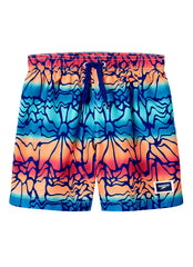 Speedo Boys' Aqua Breeze Print 15" Volley Swim Trunks (Toddler, Little Kid, Big Kid)