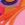 Dolfin Flipper Flowers Youth Goggle