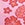 JOLYN Women's Hibiscus Haze Jocelyn Printed Bikini Top